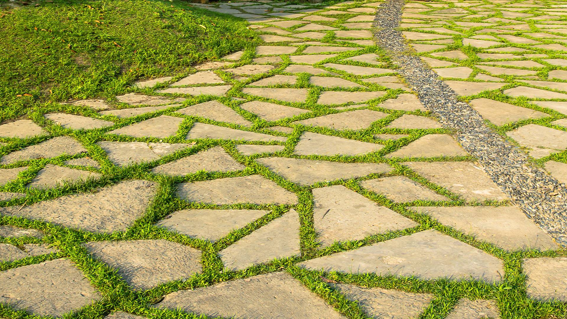 Stone pathway in landscaped garden showcasing professional hardscaping and outdoor design.
